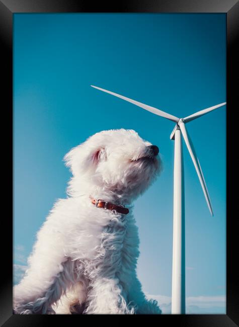 Wind turbine in the wind Framed Print by Laurent Renault