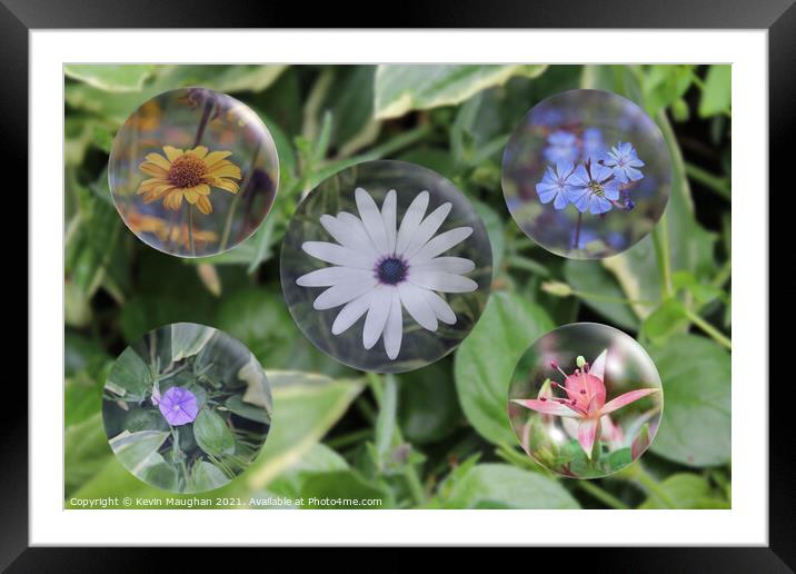 Vibrant Floral Bubbles Dancing in the Wind Framed Mounted Print by Kevin Maughan