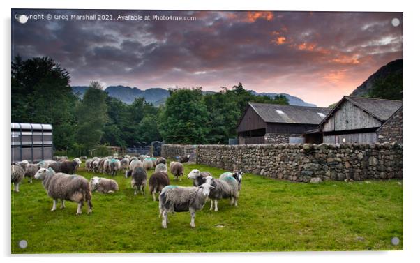 Sheep awaiting shearing Langdale Valley Lake District Acrylic by Greg Marshall