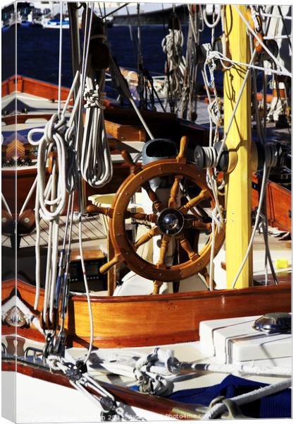 Tidying Up the Seas Canvas Print by Roger Mechan