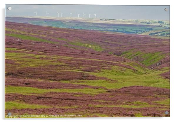 Yorkshire moorland heather. Acrylic by David Birchall