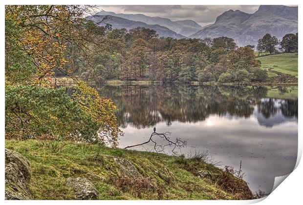 Loughrigg Tarn Print by Roger Green