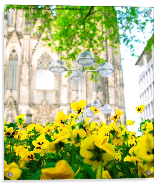 Yellow flowers. Cologne. Acrylic by Vitalii Kryvolapov