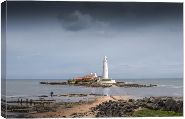 St Mary's Lighthouse Canvas Print by Mark Jones