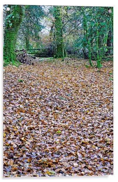 Autumn's Golden Carpet Acrylic by Roger Mechan