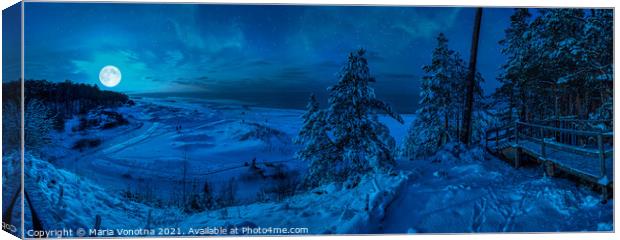 Sea coast during winter night Canvas Print by Maria Vonotna