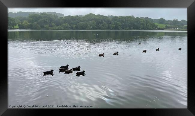 Knypersley reservoir Framed Print by Daryl Pritchard videos