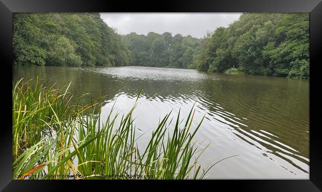 Knypersley reservoir  Framed Print by Daryl Pritchard videos