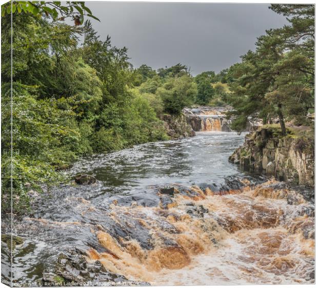 Low Force Waterfall, Teesdale, in Late Summer Canvas Print by Richard Laidler