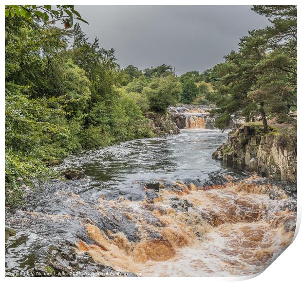Low Force Waterfall, Teesdale, in Late Summer Print by Richard Laidler