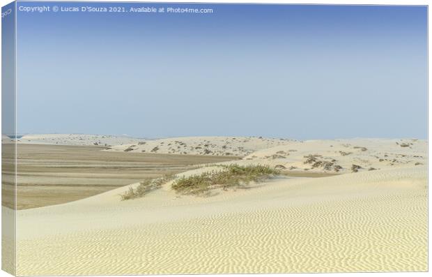 Desert landscape Canvas Print by Lucas D'Souza