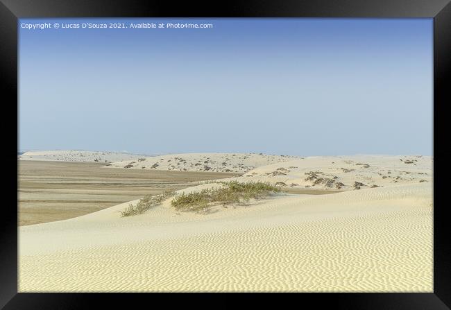 Desert landscape Framed Print by Lucas D'Souza