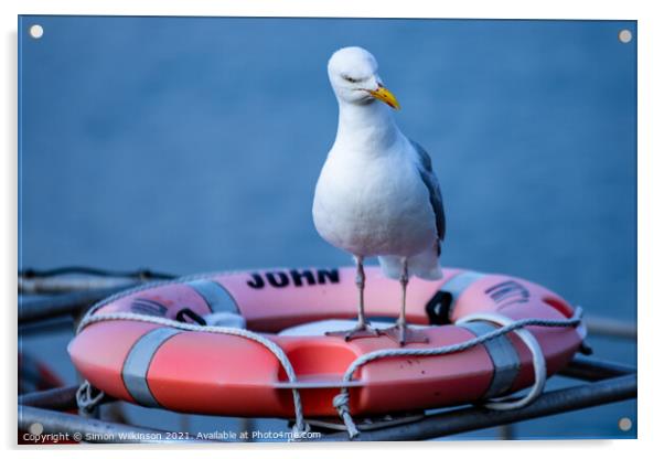 John the Seagull Acrylic by Simon Wilkinson