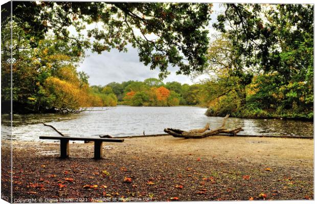 Connaught Water View Epping  Canvas Print by Diana Mower