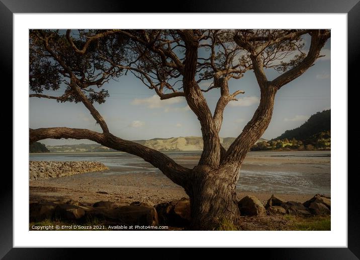 Old Tree in the Landscape Framed Mounted Print by Errol D'Souza