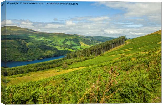 Talybont Valley Brecon Beacons Wales  Canvas Print by Nick Jenkins
