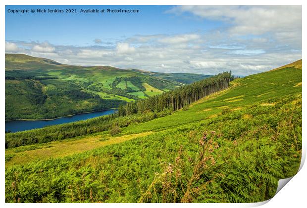 Talybont Valley Brecon Beacons Wales  Print by Nick Jenkins