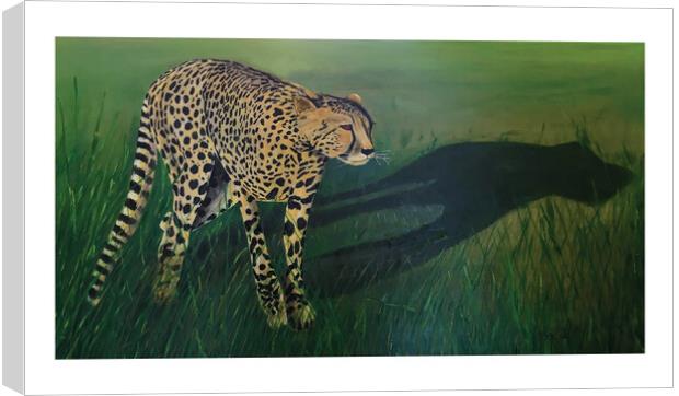 Cheetah Shadow Canvas Print by Mehmood Neky