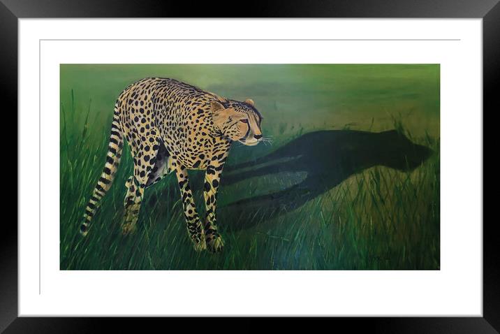 Cheetah Shadow Framed Mounted Print by Mehmood Neky