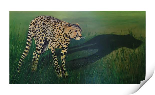 Cheetah Shadow Print by Mehmood Neky