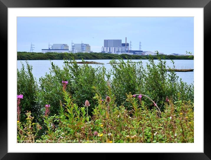 Dungeness Nuclear Power Station (2) Framed Mounted Print by Nathalie Hales