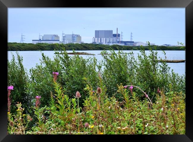Dungeness Nuclear Power Station (2) Framed Print by Nathalie Hales