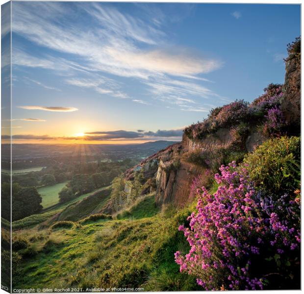 Yorkshire heather sunrise Canvas Print by Giles Rocholl