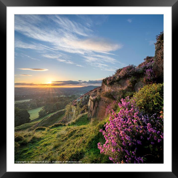 Yorkshire heather sunrise Framed Mounted Print by Giles Rocholl