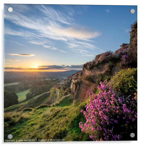 Yorkshire heather sunrise Acrylic by Giles Rocholl