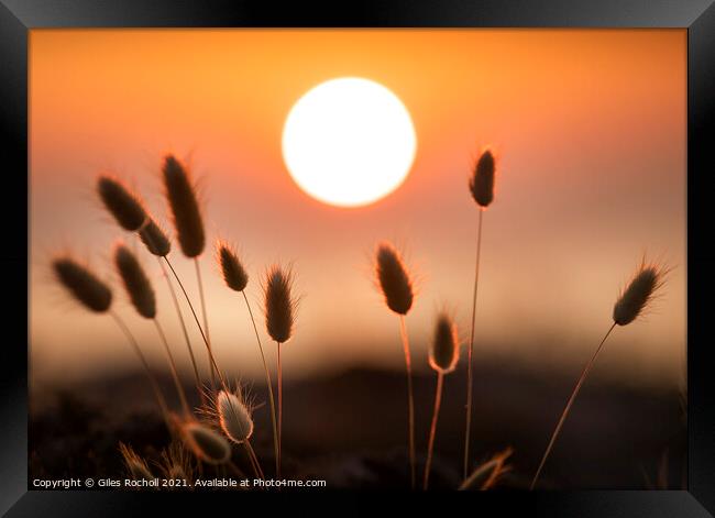 Golden sunrise Spain Framed Print by Giles Rocholl