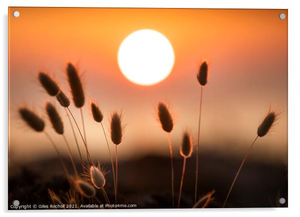 Golden sunrise Spain Acrylic by Giles Rocholl