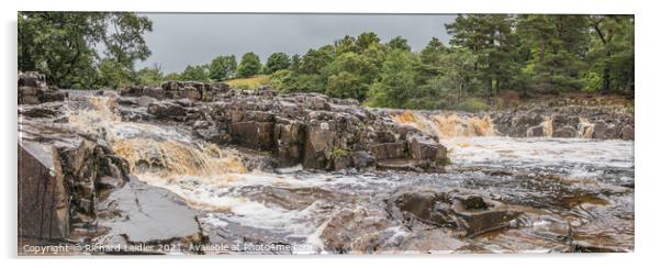 River Tees at Low Force, Teesdale, in late summer, Panorama Acrylic by Richard Laidler