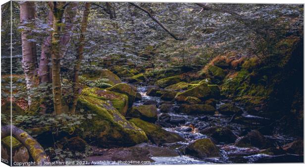 Burbage Brook, Padley Gorge Canvas Print by Jonathan Bird