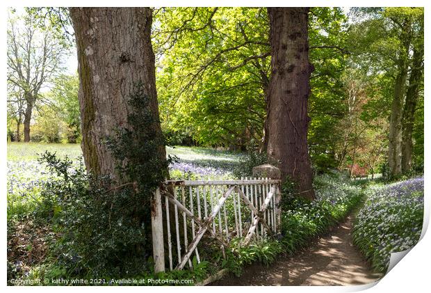 English Bluebell Wood, Cornwall,lovely old gate Print by kathy white