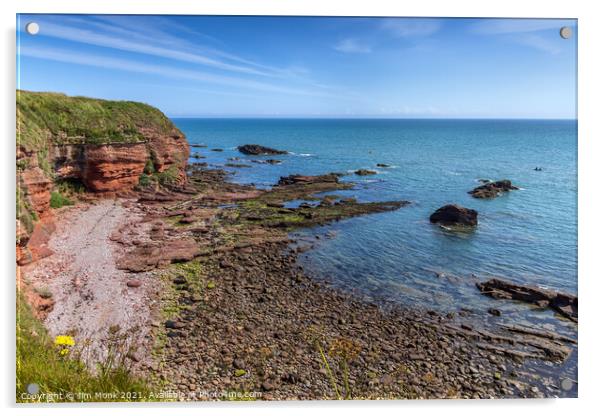  Arbroath Cliffs Acrylic by Jim Monk