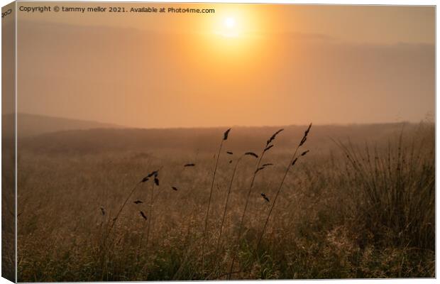 Enchanting Misty Moorlands Canvas Print by tammy mellor