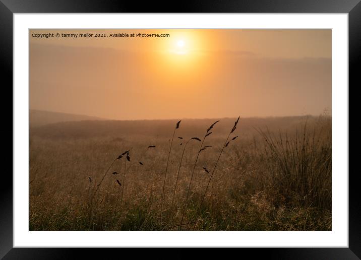 Enchanting Misty Moorlands Framed Mounted Print by tammy mellor