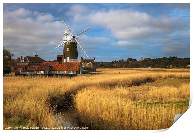 Basking in the Euphoria of the Coastal Countryside Print by Rick Bowden