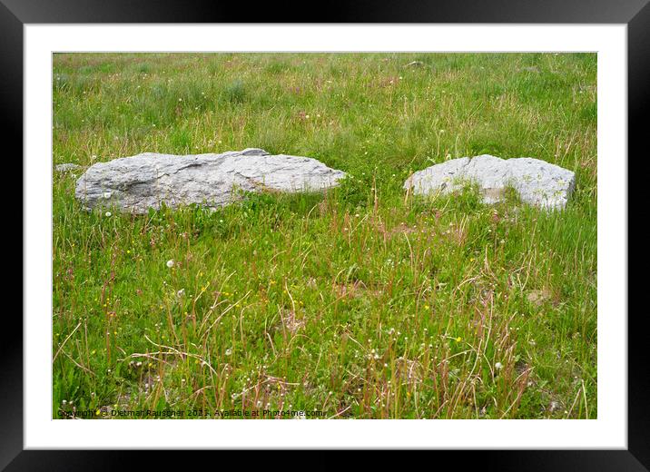 Two Rocks on a Meadow Framed Mounted Print by Dietmar Rauscher