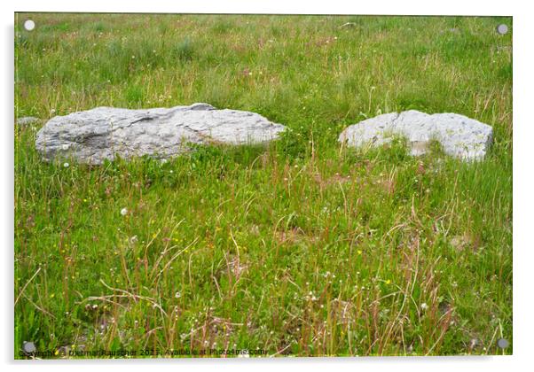 Two Rocks on a Meadow Acrylic by Dietmar Rauscher