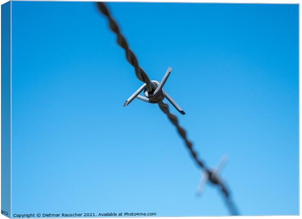 Barbed Wire Isolated on Blue Sky Canvas Print by Dietmar Rauscher
