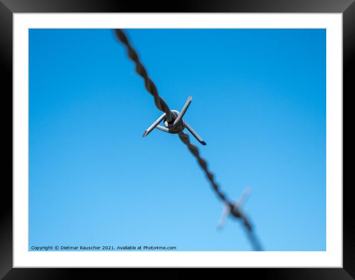 Barbed Wire Isolated on Blue Sky Framed Mounted Print by Dietmar Rauscher