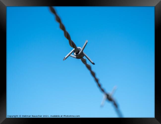 Barbed Wire Isolated on Blue Sky Framed Print by Dietmar Rauscher