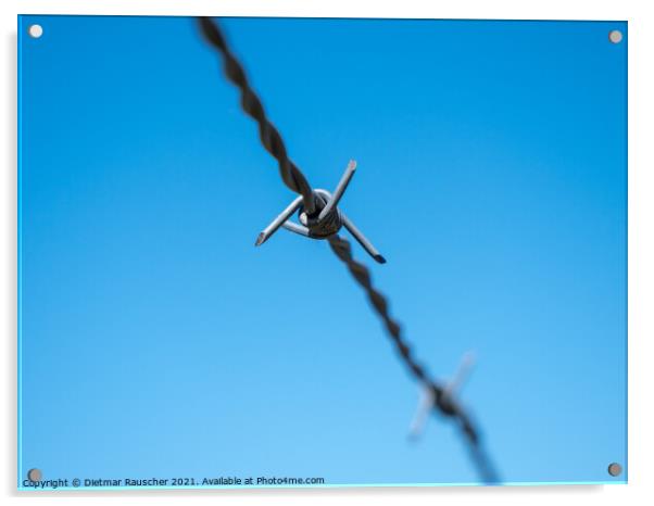 Barbed Wire Isolated on Blue Sky Acrylic by Dietmar Rauscher