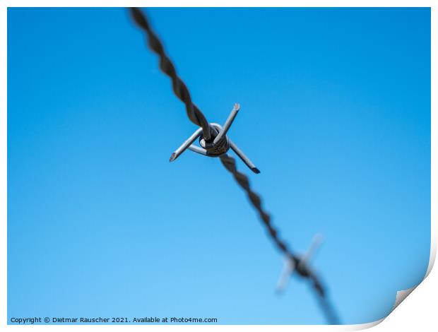 Barbed Wire Isolated on Blue Sky Print by Dietmar Rauscher