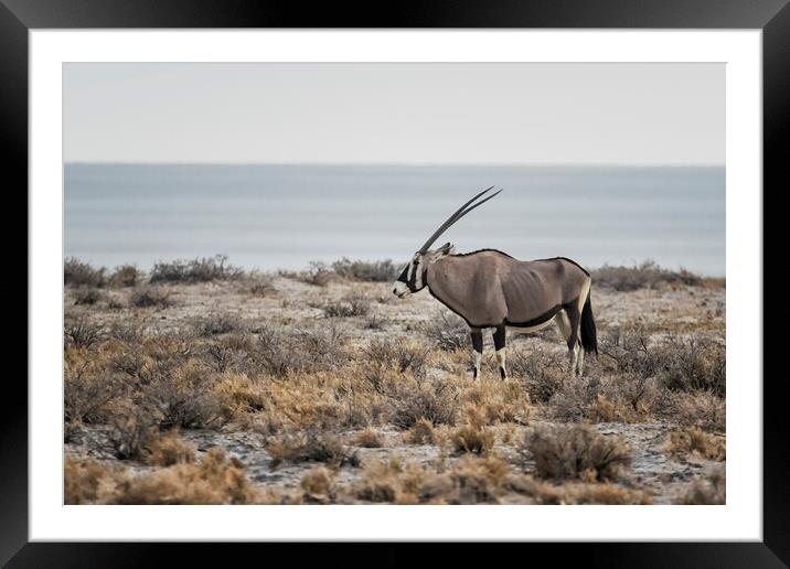 Oryx with Etosha Pan in the Background Framed Mounted Print by Belinda Greb