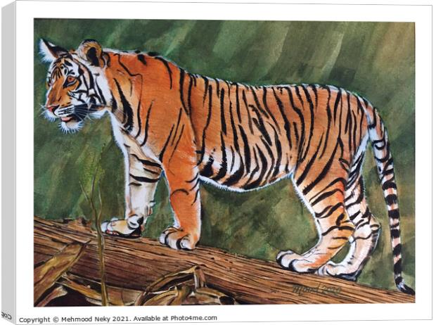 Tiger Painting Canvas Print by Mehmood Neky