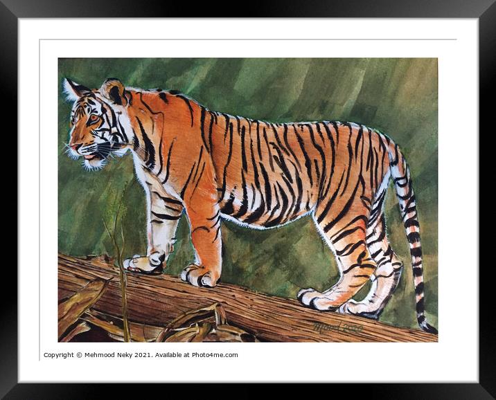 Tiger Painting Framed Mounted Print by Mehmood Neky
