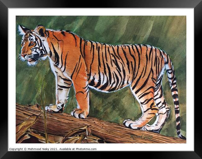 Tiger Painting Framed Print by Mehmood Neky