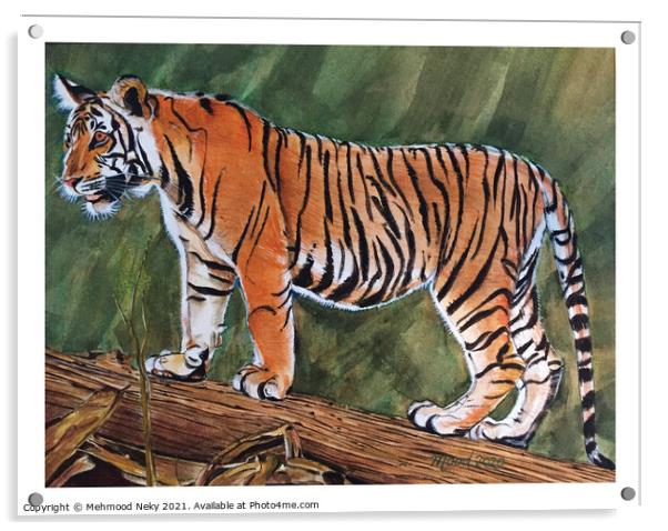 Tiger Painting Acrylic by Mehmood Neky